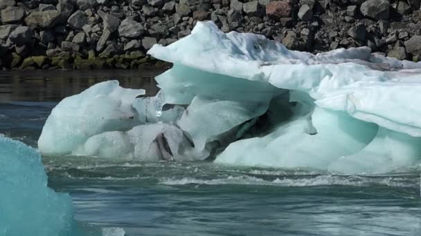 Spitzbergen. Norwegen. Eisschollen im Hintergrund des Berges auf dem Wasser des Arktischen Ozeans in Spitzbergen. Wildtiere in den nordischen Badlands. Einzigartig — Stockvideo