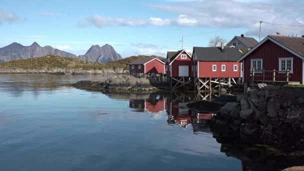 Norvegia. Lofoten. Riva panoramica del fiordo. — Video Stock