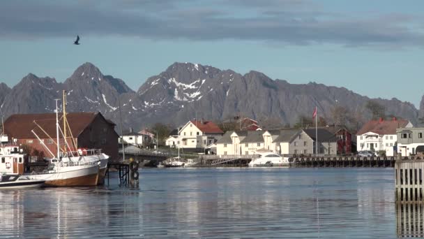 Norge. Lofotens. Fjordens natursköna strand. — Stockvideo