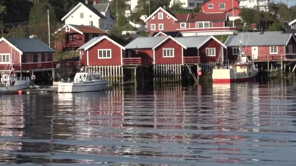 Νορβηγία. Νησιά Lofoten. Ηλιόλουστο πρωινό. — Αρχείο Βίντεο