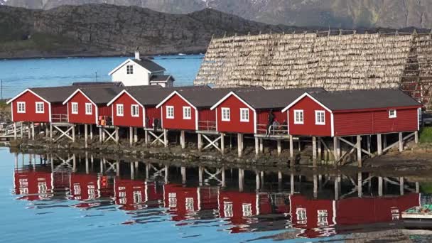 Норвегия. Лофотенские острова. Кемпинг на озере . — стоковое видео