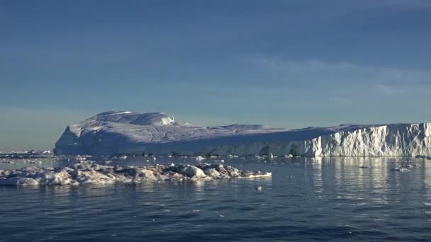 Гренландия. Огромные айсберги образовались в результате глобального потепления. — стоковое видео