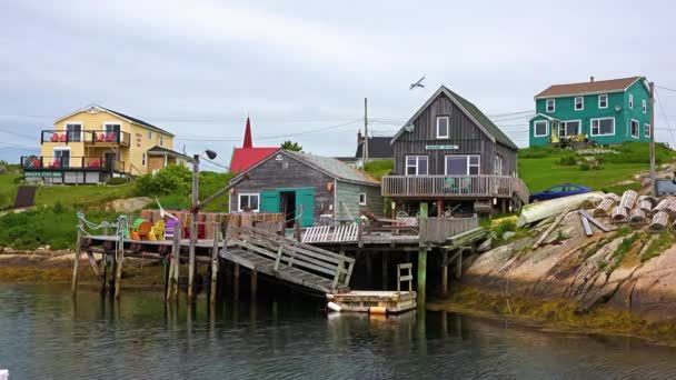 Canada. Peggys Cove Harbor, Nuova Scozia. Faro di Peggys Cove — Video Stock