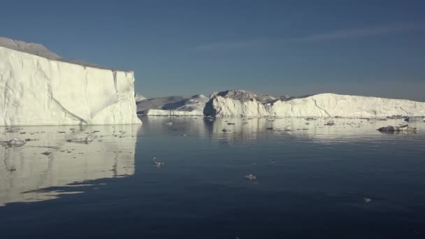 Antártida glaciares de hielo marino flotante y reflexiones de montañas — Vídeos de Stock