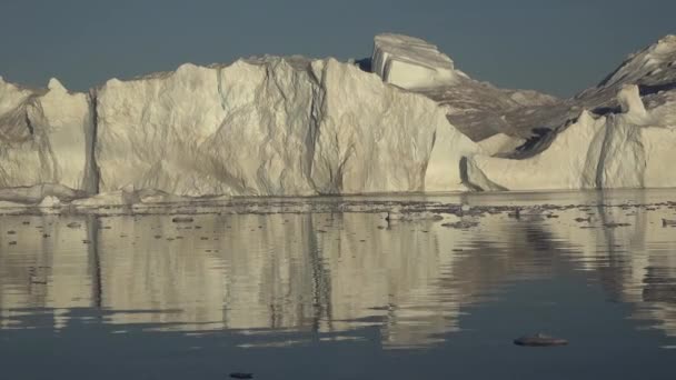 Grönland. Isbergsdrift i Arktiska havet — Stockvideo