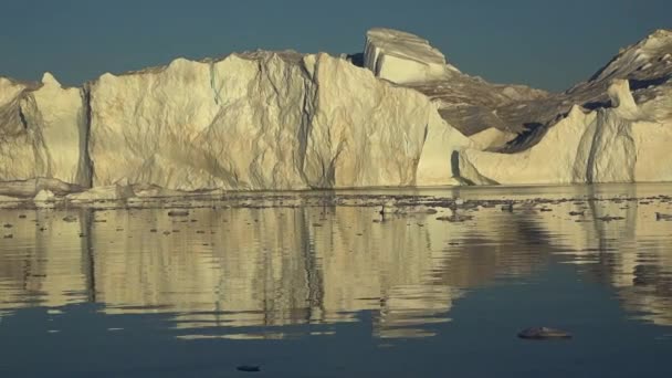 Гренландия. Айсберги дрейфуют в арктическом море — стоковое видео