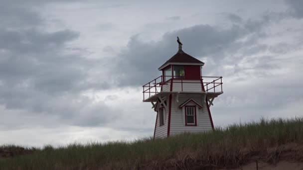 Canada. Isola del Principe Edoardo. Faro in riva al mare. — Video Stock