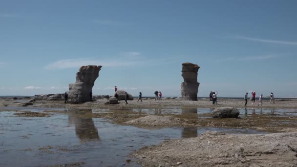 Kanada. Kamenné pilíře Hopewell Rocks — Stock video