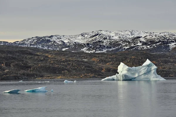 漂流的冰山全球变暖。气候变化。南极洲，北极格陵兰 — 图库照片