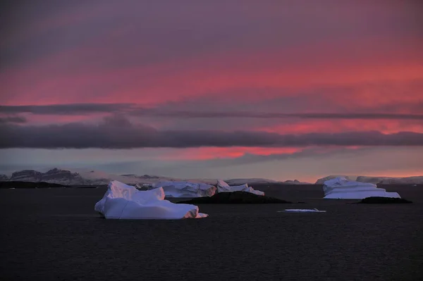Icebergs a la deriva. El calentamiento global. Cambio climático. Antártida, Ártico. Groenlandia —  Fotos de Stock