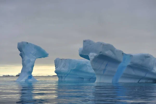 Treibende Eisberge. Die globale Erwärmung. Klimawandel. Antarktis, Arktis. Grönland — Stockfoto