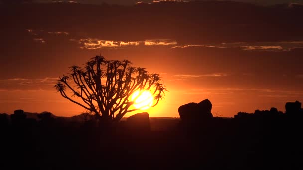 Puesta de sol sobre un campo cerca de un pueblo en Kenia dos horas al norte de la ciudad de África Mombassa — Vídeo de stock