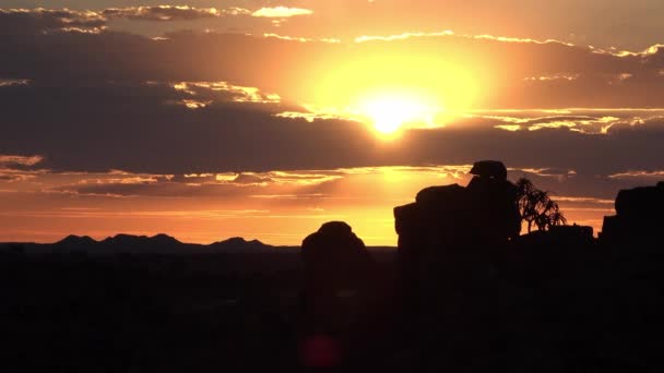 Namibie. Des aloès. Coucher de soleil dans le désert. — Video