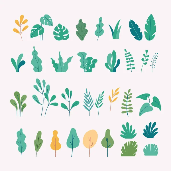 Conjunto Vectorial Ilustraciones Planas Plantas Árboles Hojas — Archivo Imágenes Vectoriales