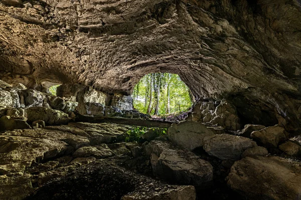 Salida Cueva Con Tronco Árbol Caído Hiedra Hacia Bosque — Foto de Stock