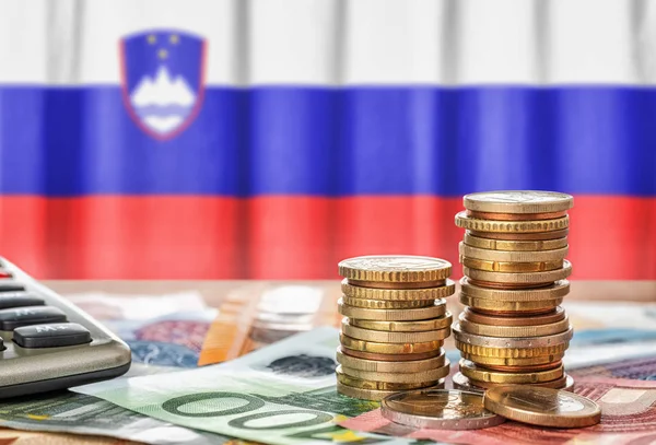 Notas e moedas de euro em frente ao pavilhão nacional de Sloven — Fotografia de Stock