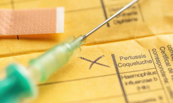 Международный сертификат вакцинации - Pertussis — стоковое фото