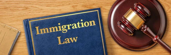 Marteau Avec Livre Droit Droit Immigration — Photo