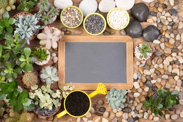 Leere Kleine Tafel Umgeben Von Saftigen Pflanzen Und Steinen — Stockfoto