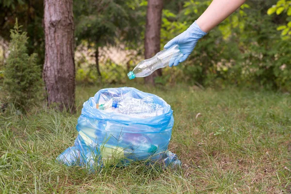 Plocka Upp Skräp Och Sätta Den Plastpåse — Stockfoto