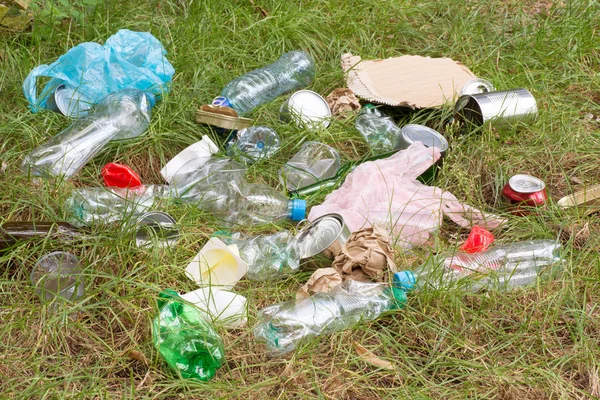 Rubbish such as plastic and glass bottles, tins, cans and pieces of paper on grass