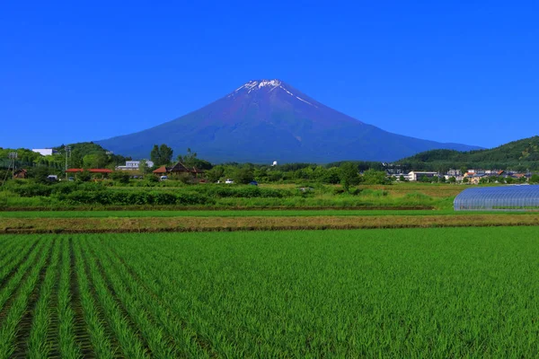 Monte Fuji Del Cielo Azul Ciudad Fujiyoshida Japón 2018 —  Fotos de Stock