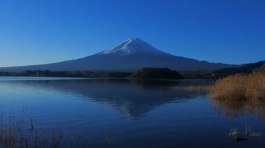 Mt.Fuji Gölü Kawaguchi Japonya'da Oishi Park'tan mavi gökyüzü ile 01/04/2019