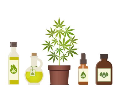 Esrar bitki ve kenevir yağı. Tıbbi marihuana. Kenevir yağı bir kavanoza. CBD yağı kenevir ürünleri. Petrol cam şişe kadar sahte. Ambalaj ürün etiket ve logo grafik şablonu. Vektör çizim.