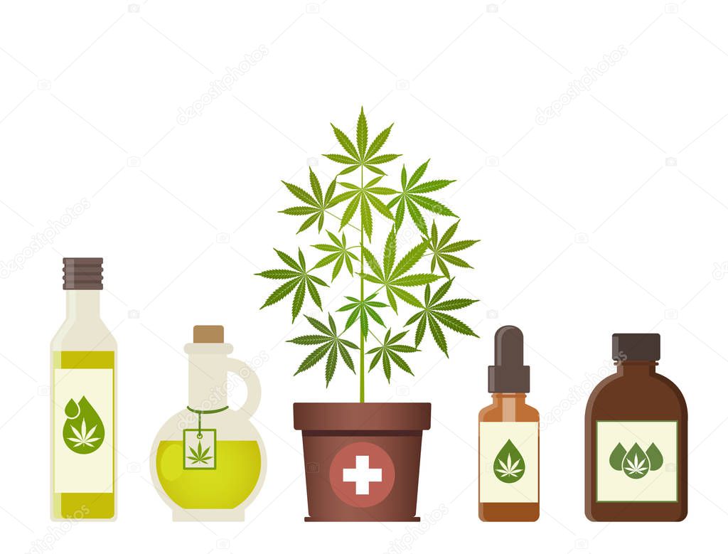 Marijuana plant and cannabis oil. Medical marijuana. Hemp oil in a jar. CBD oil hemp products. Oil glass bottle mock up. Packaging product label and logo graphic template. Vector illustration.