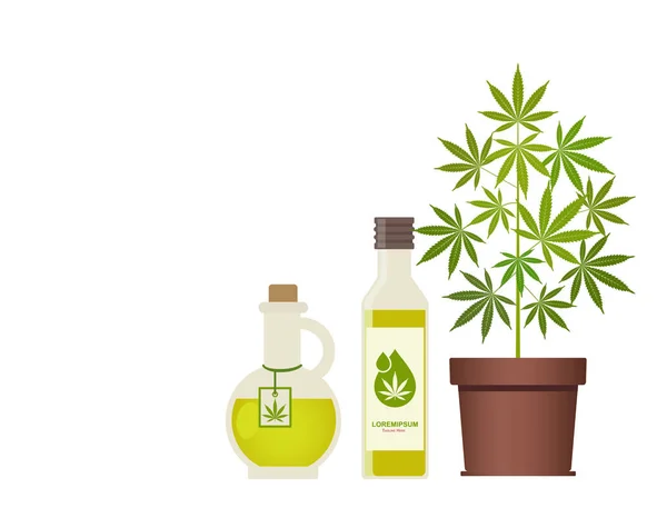 Planta Marihuana Aceite Cannabis Aceite Cáñamo Frasco Productos Cáñamo Aceite — Vector de stock