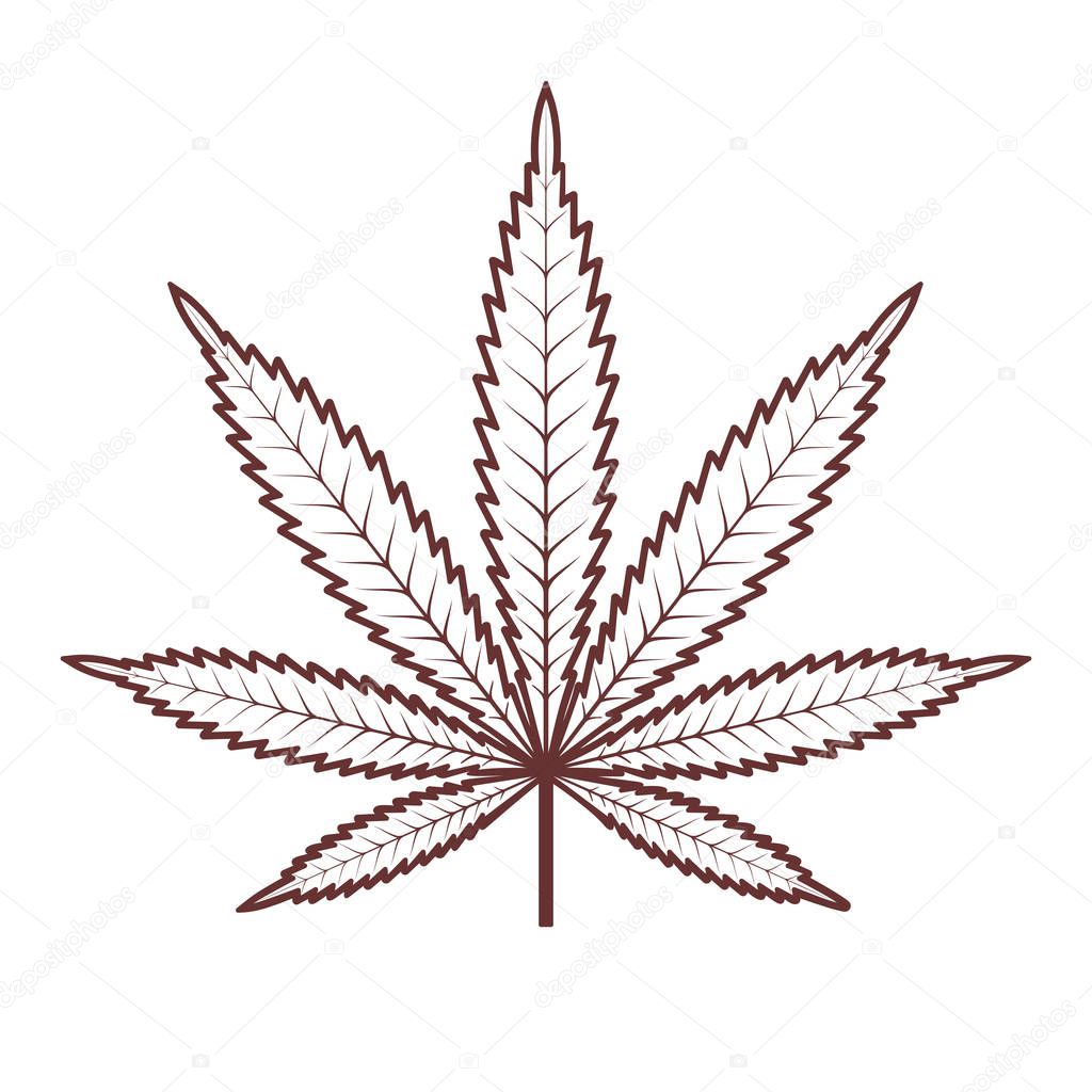 Lo scienziato sta controllando e analizzando le foglie di cannabis per  l'esperimento, la pianta di canapa per l'olio di cbd farmaceutico a base di  erbe in un laboratorio foto – Immagine di, image size:1024x1024