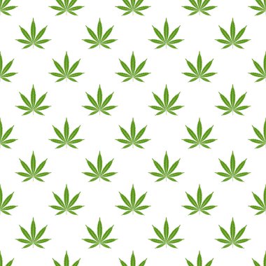 Marihuana yaprağı ile Seamless modeli. Esrar arka plan. Desen kumaş tasarım, duvar kağıdı, kağıt kaydırma için kullanılabilir. İzole vektör çizim.