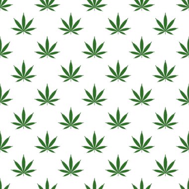 Marihuana yaprağı ile Seamless modeli. Esrar arka plan. Desen kumaş tasarım, duvar kağıdı, kağıt kaydırma için kullanılabilir. İzole vektör çizim.
