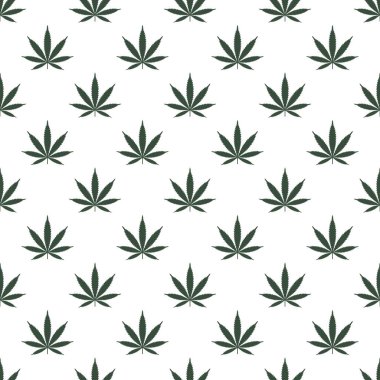 Marihuana yaprağı ile Seamless modeli. Esrar arka plan. Desen kumaş tasarım, duvar kağıdı, kağıt kaydırma için kullanılabilir. İzole vektör çizim.