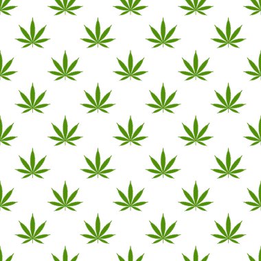 Marihuana yaprağı ile Seamless modeli. Esrar arka plan. Desen kumaş tasarım, duvar kağıdı, kağıt kaydırma için kullanılabilir. İzole vektör çizim.