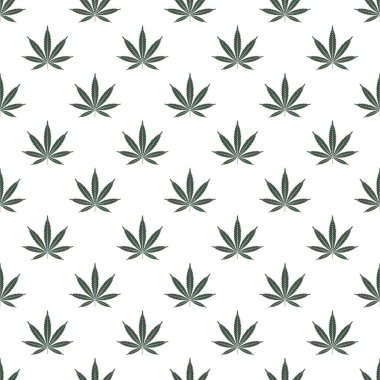 Marihuana yaprağı ile Seamless modeli. Esrar arka plan. Desen kumaş tasarım, duvar kağıdı, kağıt kaydırma için kullanılabilir. İzole vektör çizim.