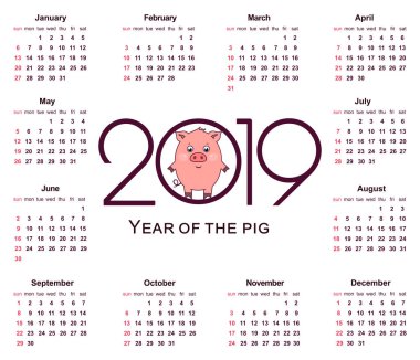 Domuz takvim 2019 için. Çince takvim yılında sembolü. Basit vektör şablonu. İleti örneği tasarım şablonu. Beyaz arka plan üzerinde izole vektör çizim.