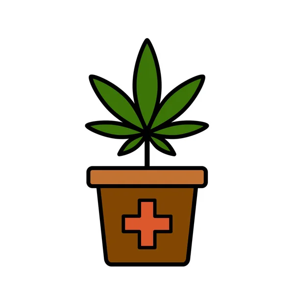 Cannabis planta em um vaso de flores . —  Vetores de Stock