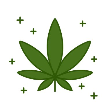 Marihuana yaprağı. Tıbbi esrar.