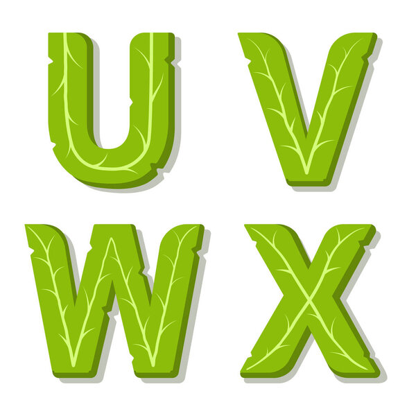 Vector green eco alphabet. Perfectly suited for healthy restaurants and green brands, like vegan places, cooking website, veggie recipes blog. Font for t-shirts and cards. Isolated illustration.