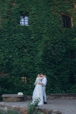 beautiful bride and groom embracing in front of building covered with vine and green leaves clipart