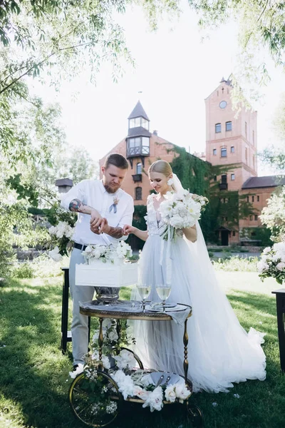 Braut Und Bräutigam Schneiden Hochzeitstorte Während Zeremonie — Stockfoto