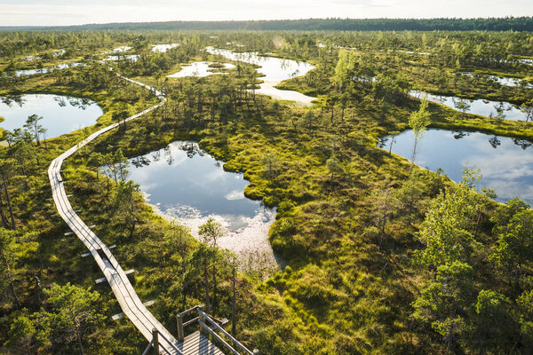 aerial view of wooden bridge and green plants around in Riga, Latvia