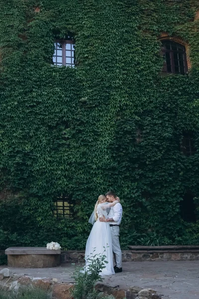 Beautiful bride and groom embracing in front of building covered with vine and green leaves — Stock Photo