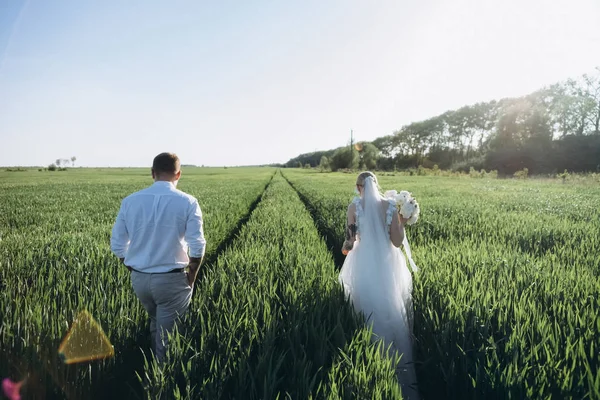 Bride and groom walking in agro field on sunset — Stock Photo