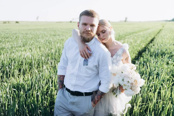 Bride and groom embracing in agro field on sunset — Stock Photo