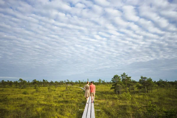 Natura — Foto stock