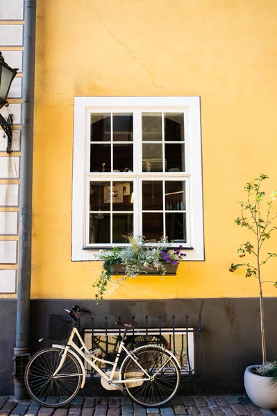 Fenster — Stockfoto