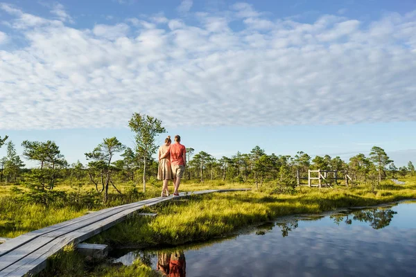 Vista trasera de pareja enamorada abrazándose y caminando sobre puente de madera con árboles verdes y cielo azul sobre fondo - foto de stock