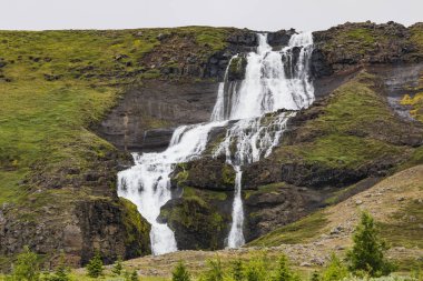 İzlanda'daki güzel şelale bir güneşli gün yaz